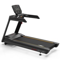 Беговая дорожка Aerofit Professional X2-T LED